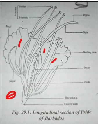 WAEC Biology Practical Specimens 2023